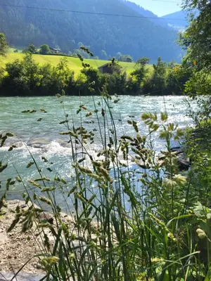 Naturlandschaft in der Nähe der Ferienwohnung