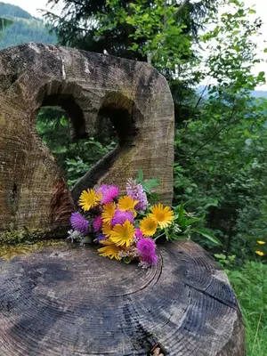 Naturlandschaft in der Nähe der Ferienwohnung