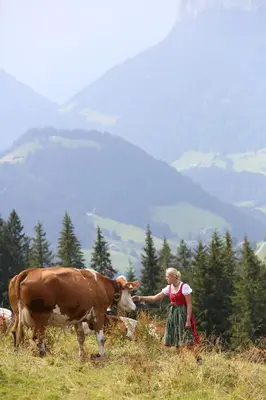 Naturlandschaft in der Nähe der Ferienwohnung
