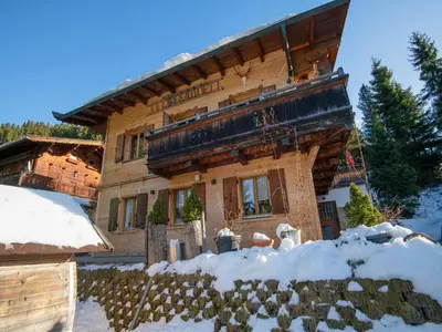 Chalet in Hochfügen near Ski Slopes im Winter