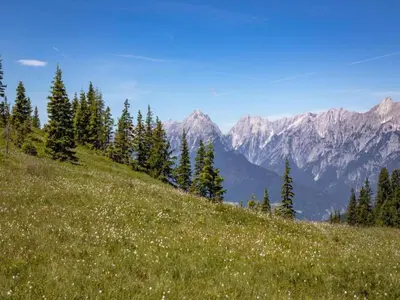 Naturlandschaft in der Nähe der Ferienwohnung