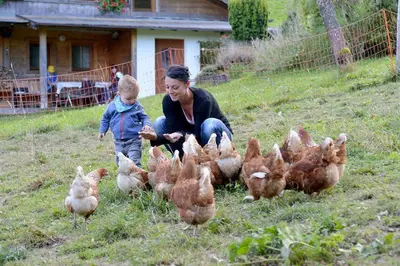 Gäste, die in der Unterkunft Wildauhof übernachten