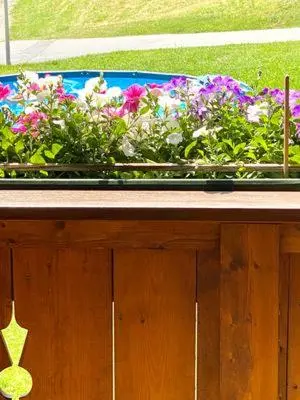 Ein Garten an der Unterkunft Ferienwohnung Birkenheim